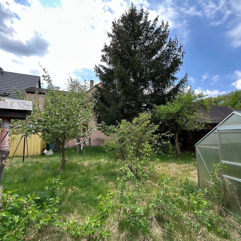 Garten mit Gewächshaus